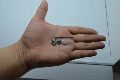 Сканер отпечатков пальцев iPhone 5S засветился на фото 