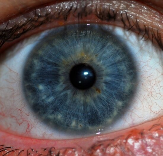 В 2018 году iPhone получит сканер радужной оболочки глаза