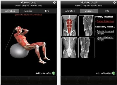 iMuscle: наглядное фитнесс пособие для пользователей iPhone
