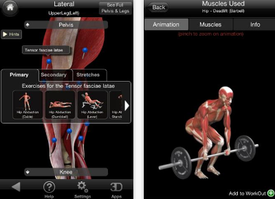 iMuscle: наглядное фитнесс пособие для пользователей iPhone