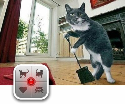 kot Human-to-Cat Translator Deluxe: переводчик для общения с кошкой! 
