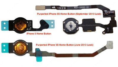 Фото кнопки Home от iPhone 5S со сканером отпечатков пальцев