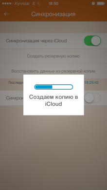 ВКармане электронный сейф конфиденциальных данных для iPhone