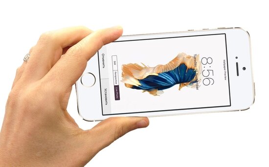 Foxconn и Wistron получили заказ на сборку 4 дюймового iPhone 5se